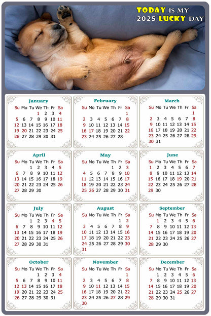 2025 Peel & Stick Calendar - Today is my Lucky Day Removable - Dogs 013 (12"x 8")