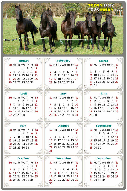 2025 Peel & Stick Calendar - Today is my Lucky Day Removable - Horses 06 (9"x 6")