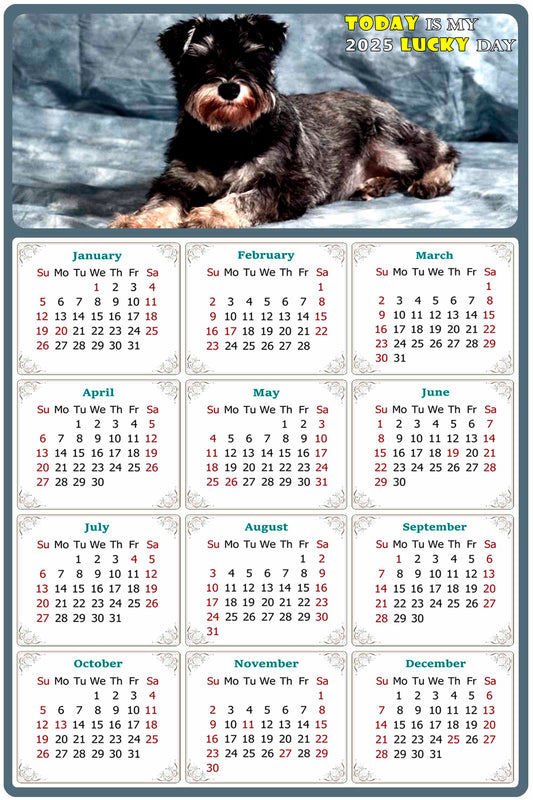 2025 Peel & Stick Calendar - Today is my Lucky Day Removable - Dogs 010 (12"x 8")