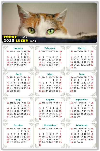 2025 Magnetic Calendar - Today is My Lucky Day (Fade, Tear, and Water Resistant)- Cat Themed 012