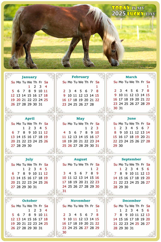 2025 Magnetic Calendar - Calendar Magnets - Today is my Lucky Day - (Fade, Tear, and Water Resistant) - Horses Themed 016