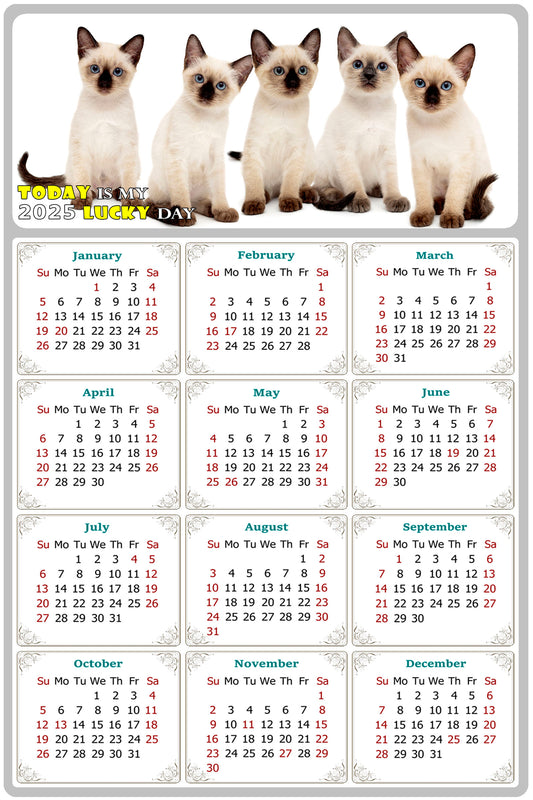 2025 Peel & Stick Calendar - Today is my Lucky Day Removable - Cat 020 (9"x 6")