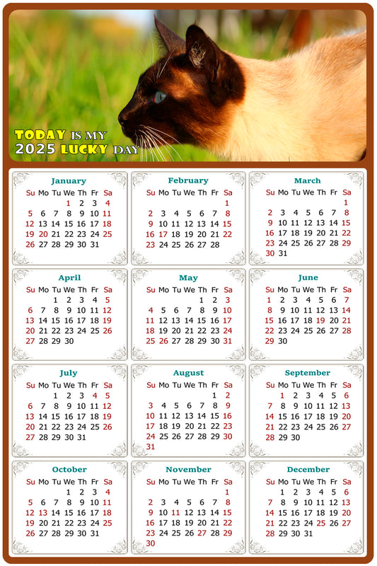 2025 Peel & Stick Calendar - Today is my Lucky Day Removable - Cat 03 (12"x 8")