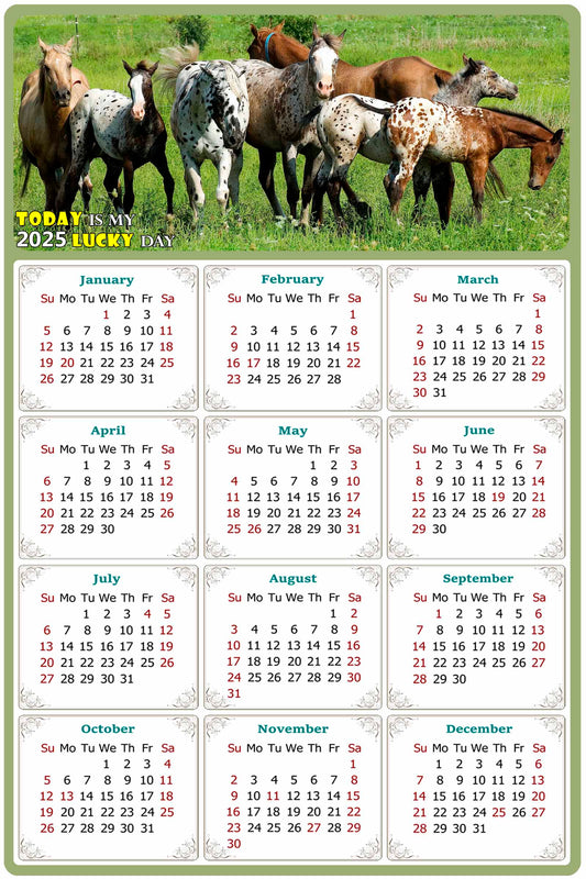 2025 Magnetic Calendar - Calendar Magnets - Today is my Lucky Day - (Fade, Tear, and Water Resistant) - Horses Themed 02