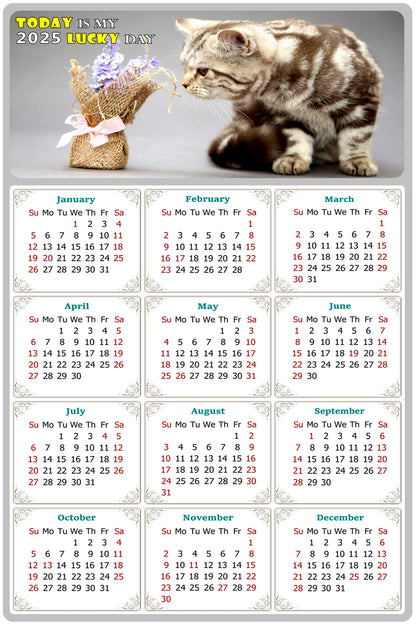 2025 Peel & Stick Calendar - Today is my Lucky Day Removable - Cat 025 (9"x 6")