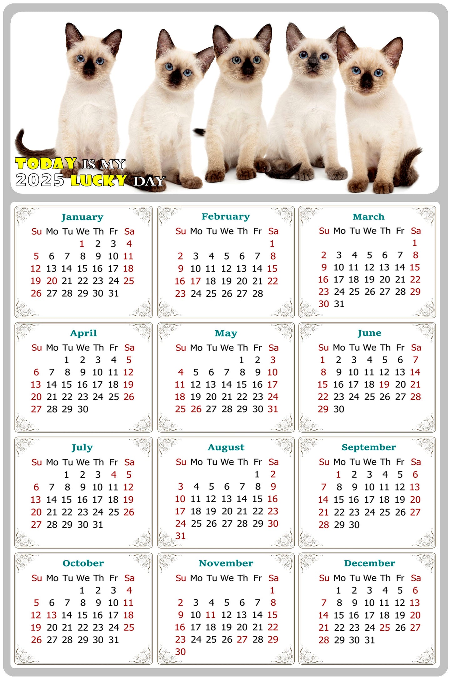 2025 Peel & Stick Calendar - Today is my Lucky Day Removable - Cat 020 (12"x 8")