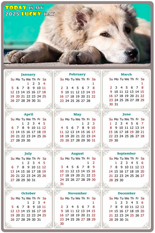 2025 Peel & Stick Calendar - Today is my Lucky Day Removable - Dogs 015 (12"x 8")