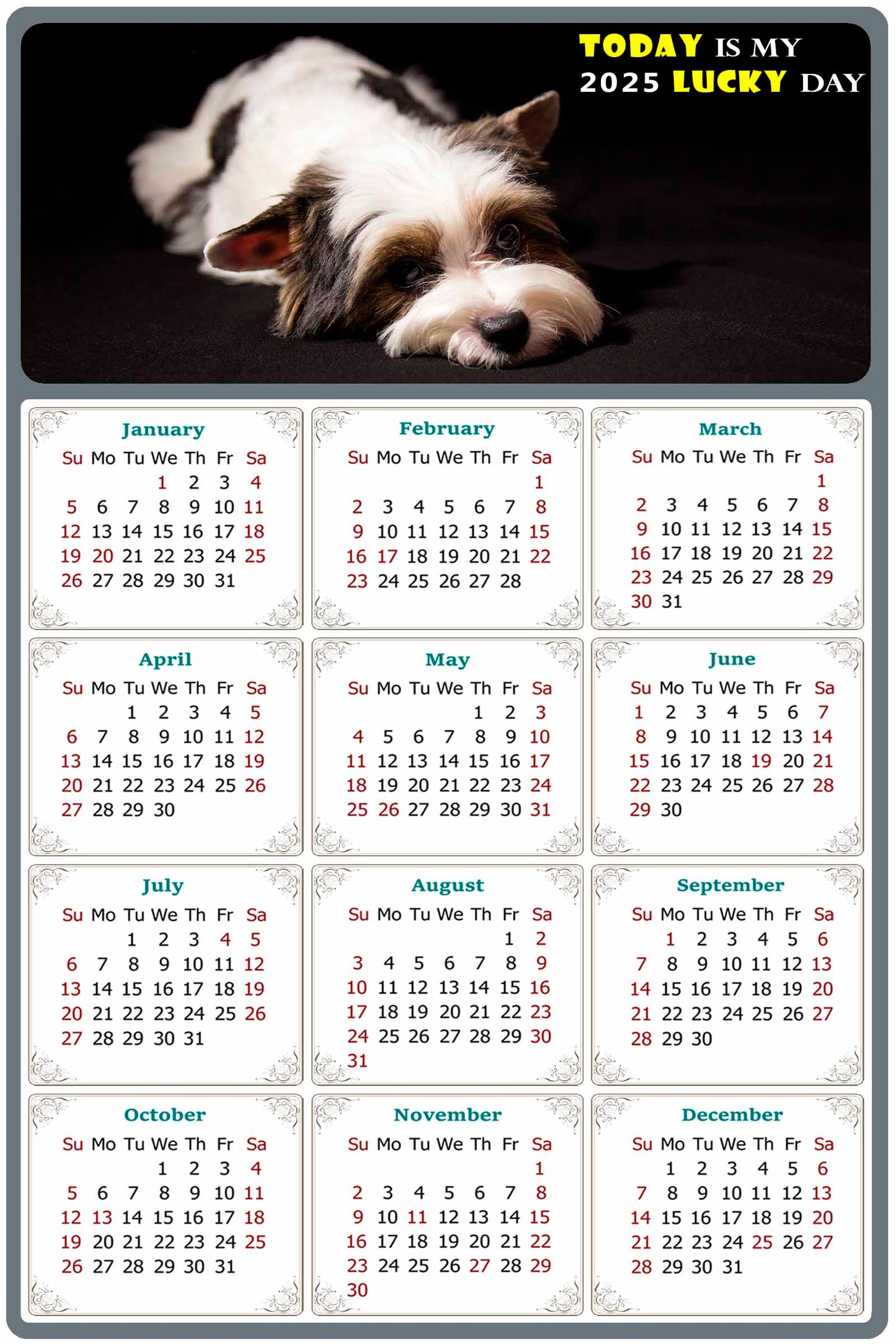 2025 Magnetic Calendar - Today is My Lucky Day (Fade, Tear, and Water Resistant)- Dogs Themed 018