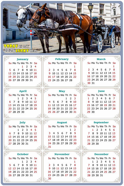 2025 Magnetic Calendar - Calendar Magnets - Today is my Lucky Day - (Fade, Tear, and Water Resistant) - Horses Themed 018