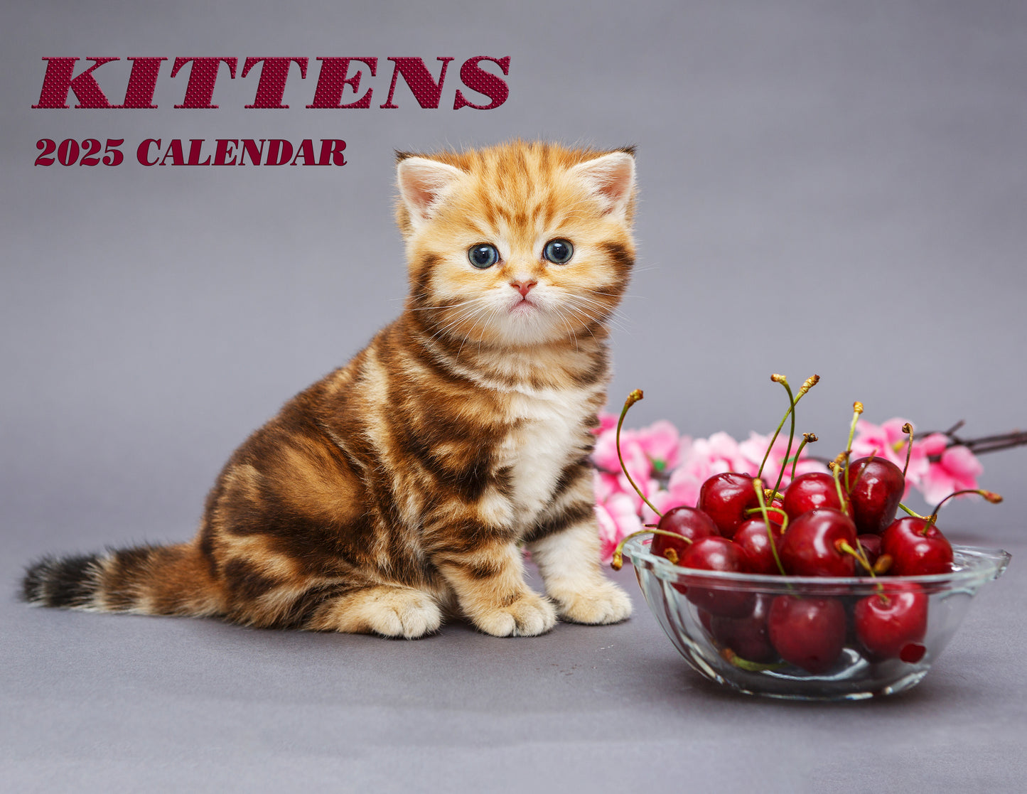 2025 Spiral-bound Wall Calendar (Kittens) - 12 Months Desktop/Wall Calendar/Planner