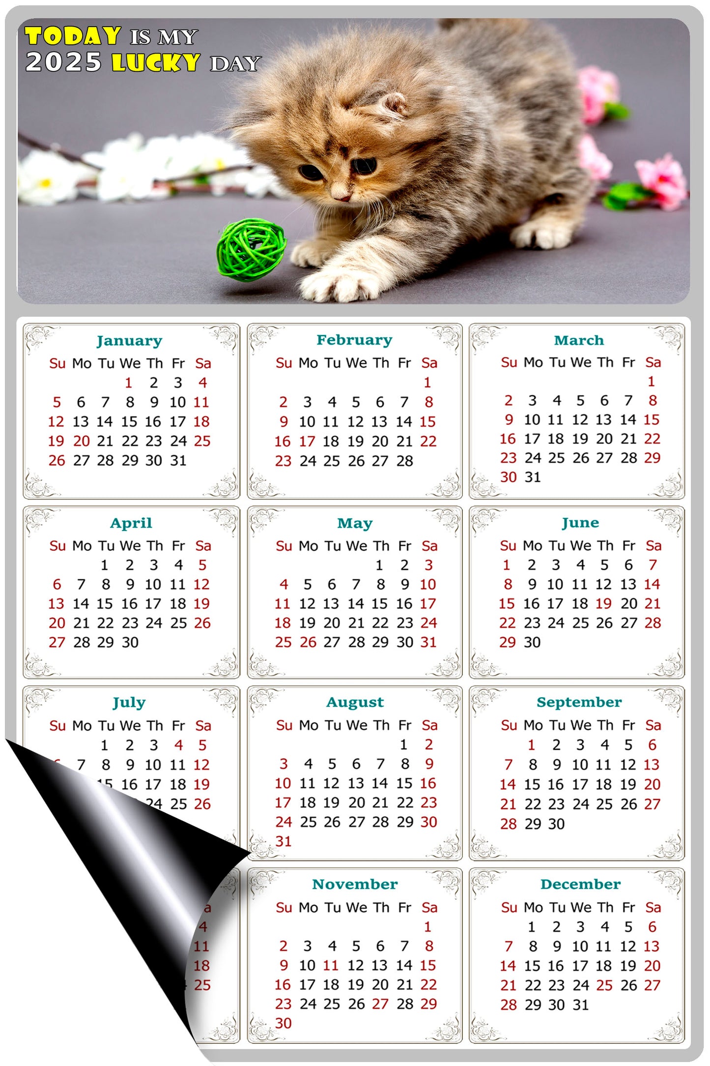 2025 Magnetic Calendar - Today is My Lucky Day (Fade, Tear, and Water Resistant)- Cat Themed 017