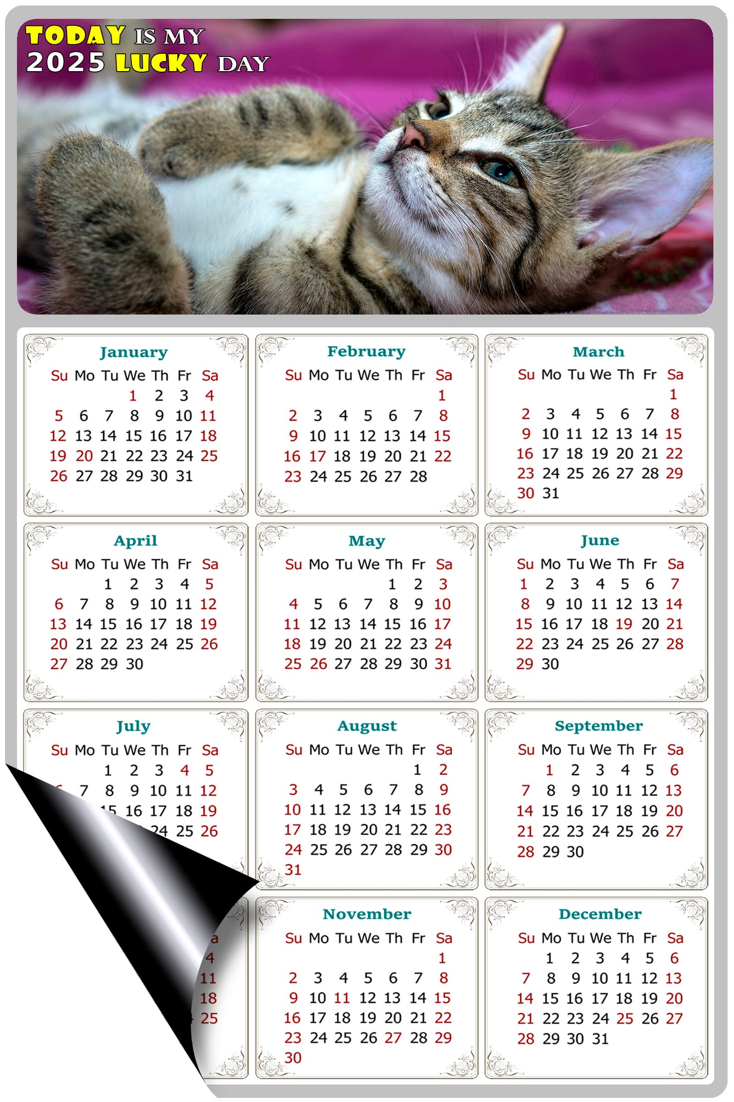 2025 Magnetic Calendar - Today is My Lucky Day (Fade, Tear, and Water Resistant)- Cat Themed 08