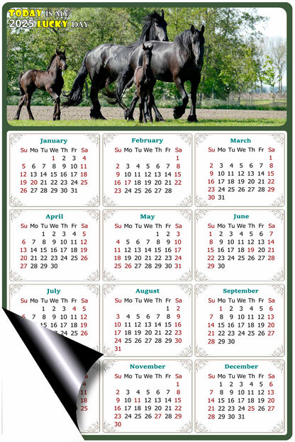 2025 Magnetic Calendar - Calendar Magnets - Today is my Lucky Day - (Fade, Tear, and Water Resistant) - Horses Themed 05