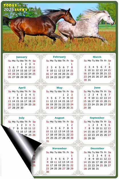 2025 Magnetic Calendar - Calendar Magnets - Today is my Lucky Day - (Fade, Tear, and Water Resistant) - Horses Themed 03