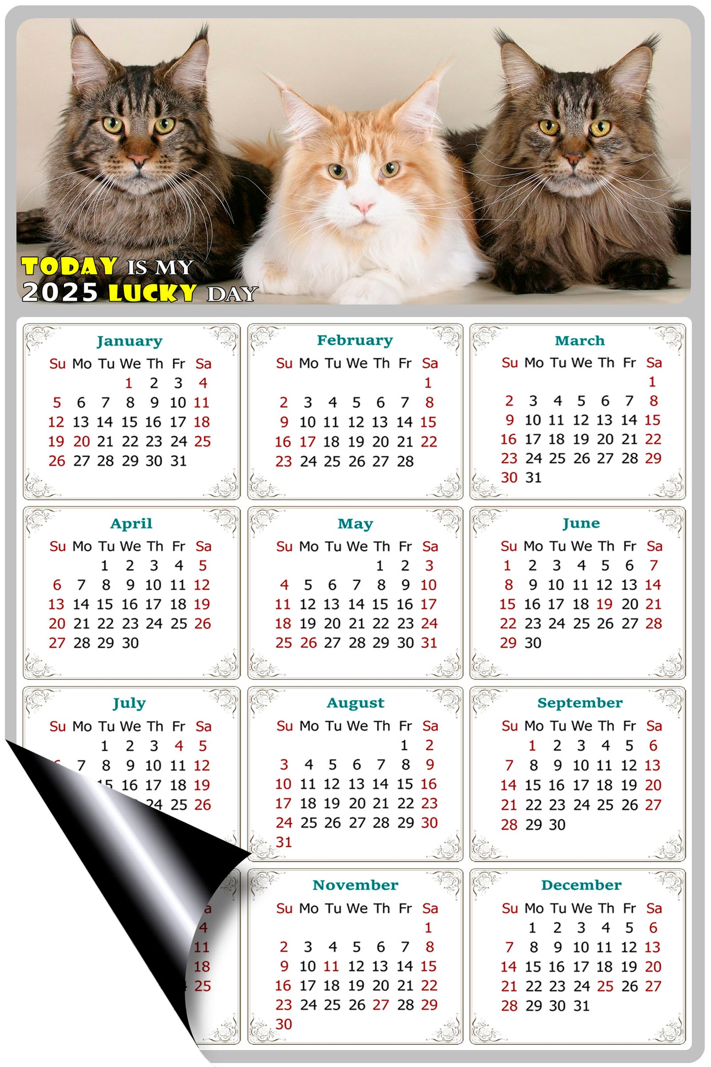 2025 Magnetic Calendar - Today is My Lucky Day (Fade, Tear, and Water Resistant)- Cat Themed 015