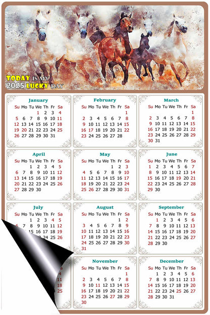 2025 Magnetic Calendar - Calendar Magnets - Today is my Lucky Day - (Fade, Tear, and Water Resistant) - Horses Themed 09