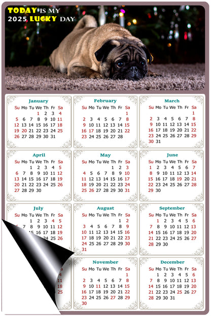 2025 Magnetic Calendar - Today is My Lucky Day (Fade, Tear, and Water Resistant)- Dogs Themed 02