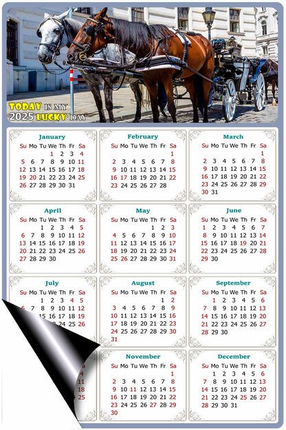 2025 Magnetic Calendar - Calendar Magnets - Today is my Lucky Day - (Fade, Tear, and Water Resistant) - Horses Themed 018