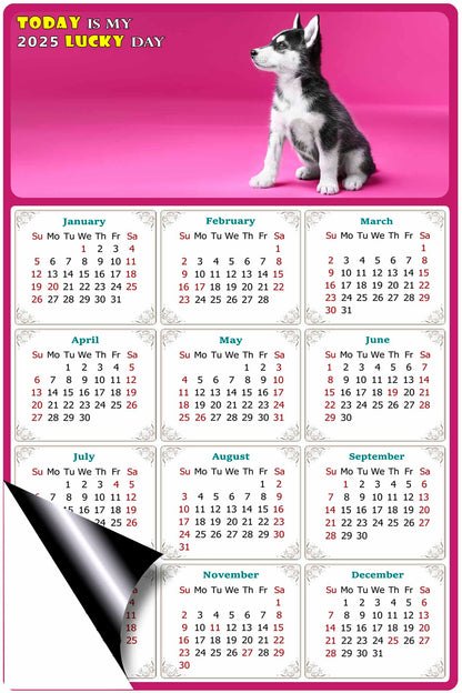 2025 Magnetic Calendar - Today is My Lucky Day (Fade, Tear, and Water Resistant)- Dogs Themed 023