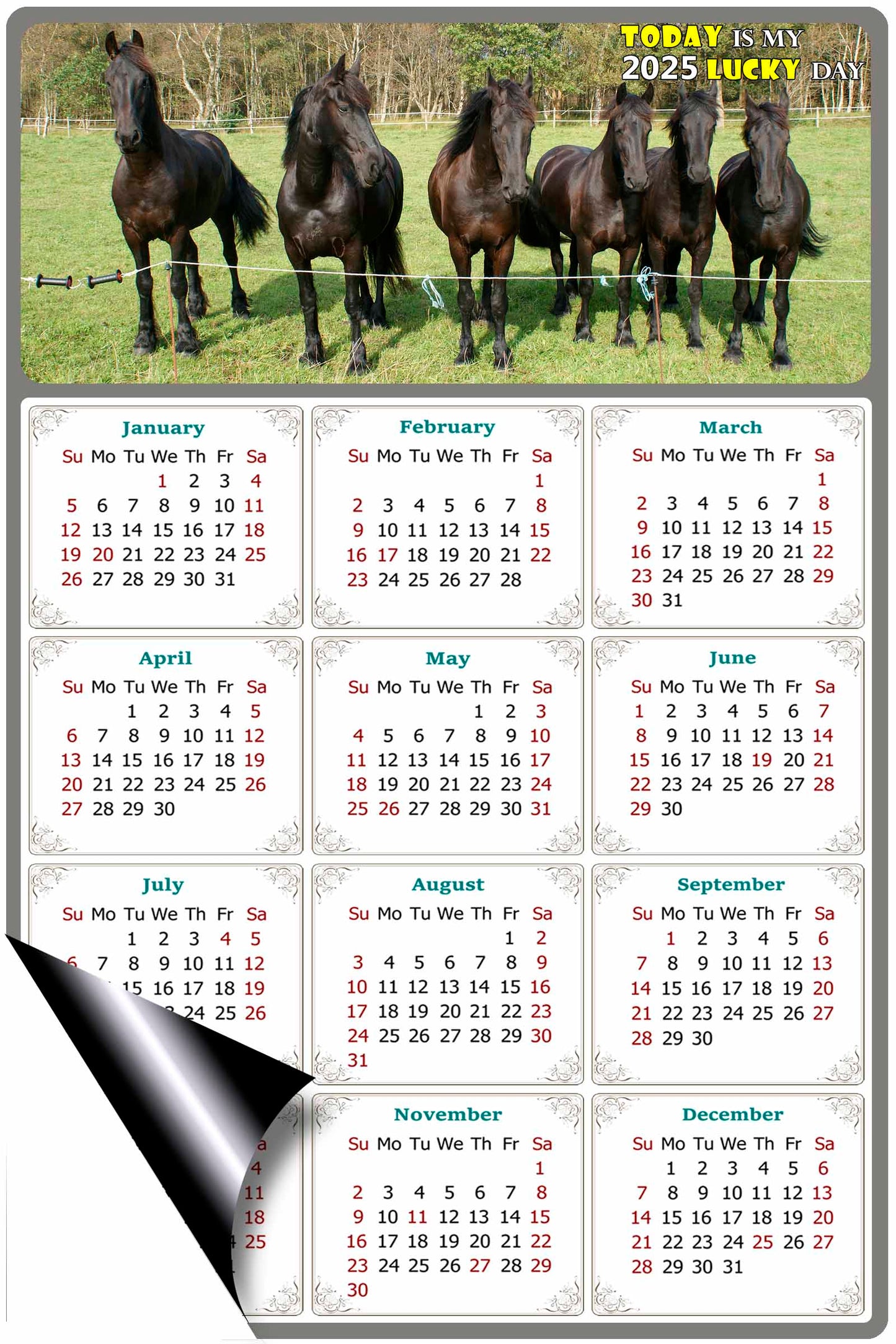 2025 Magnetic Calendar - Calendar Magnets - Today is my Lucky Day - (Fade, Tear, and Water Resistant) - Horses Themed 06