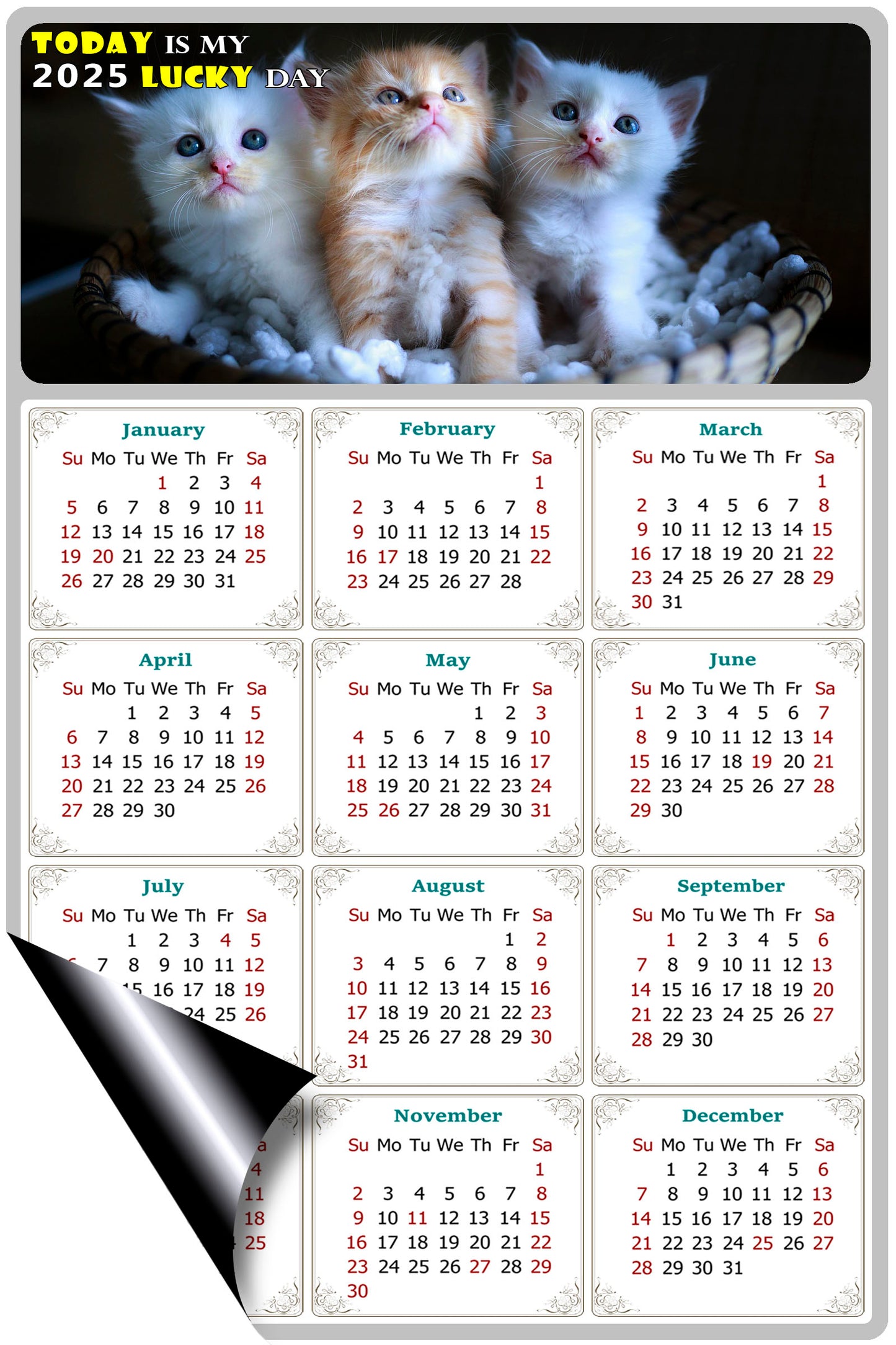 2025 Magnetic Calendar - Today is My Lucky Day (Fade, Tear, and Water Resistant)- Cat Themed 011