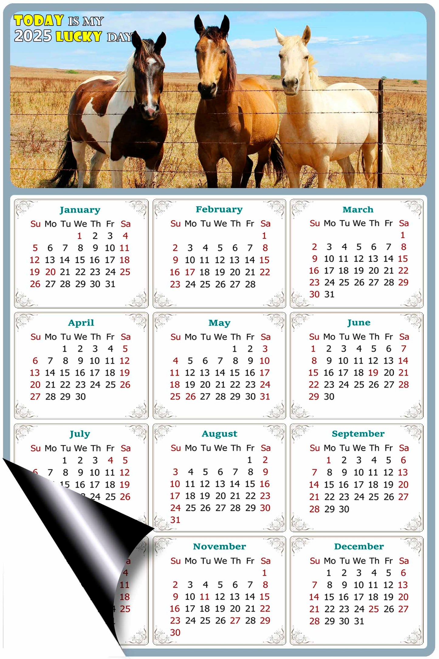 2025 Magnetic Calendar - Calendar Magnets - Today is my Lucky Day - (Fade, Tear, and Water Resistant) - Horses Themed 07