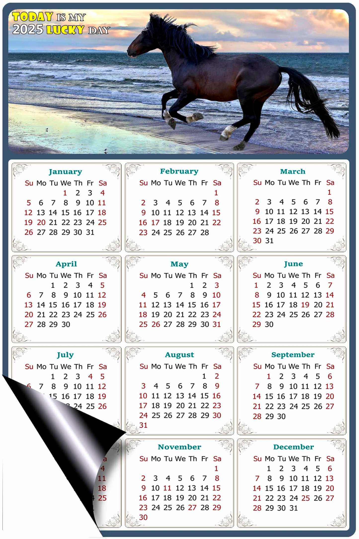 2025 Magnetic Calendar - Calendar Magnets - Today is my Lucky Day - (Fade, Tear, and Water Resistant) - Horses Themed 015