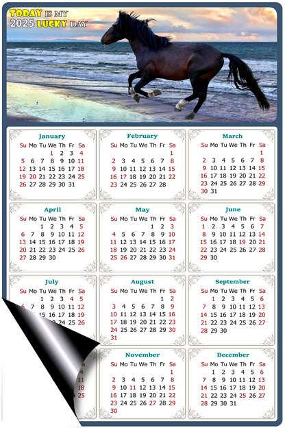 2025 Magnetic Calendar - Calendar Magnets - Today is my Lucky Day - (Fade, Tear, and Water Resistant) - Horses Themed 015