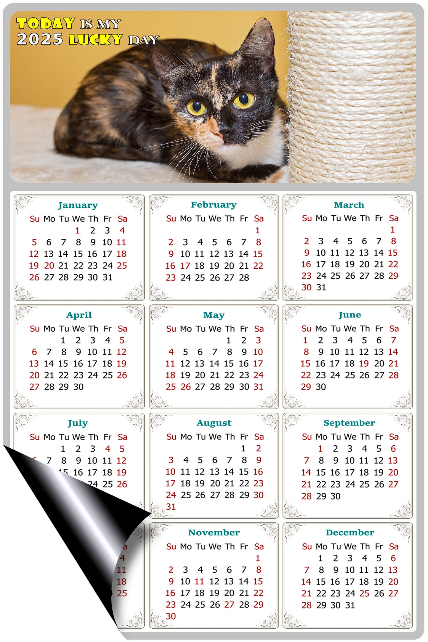 2025 Magnetic Calendar - Today is My Lucky Day (Fade, Tear, and Water Resistant)- Cat Themed 024