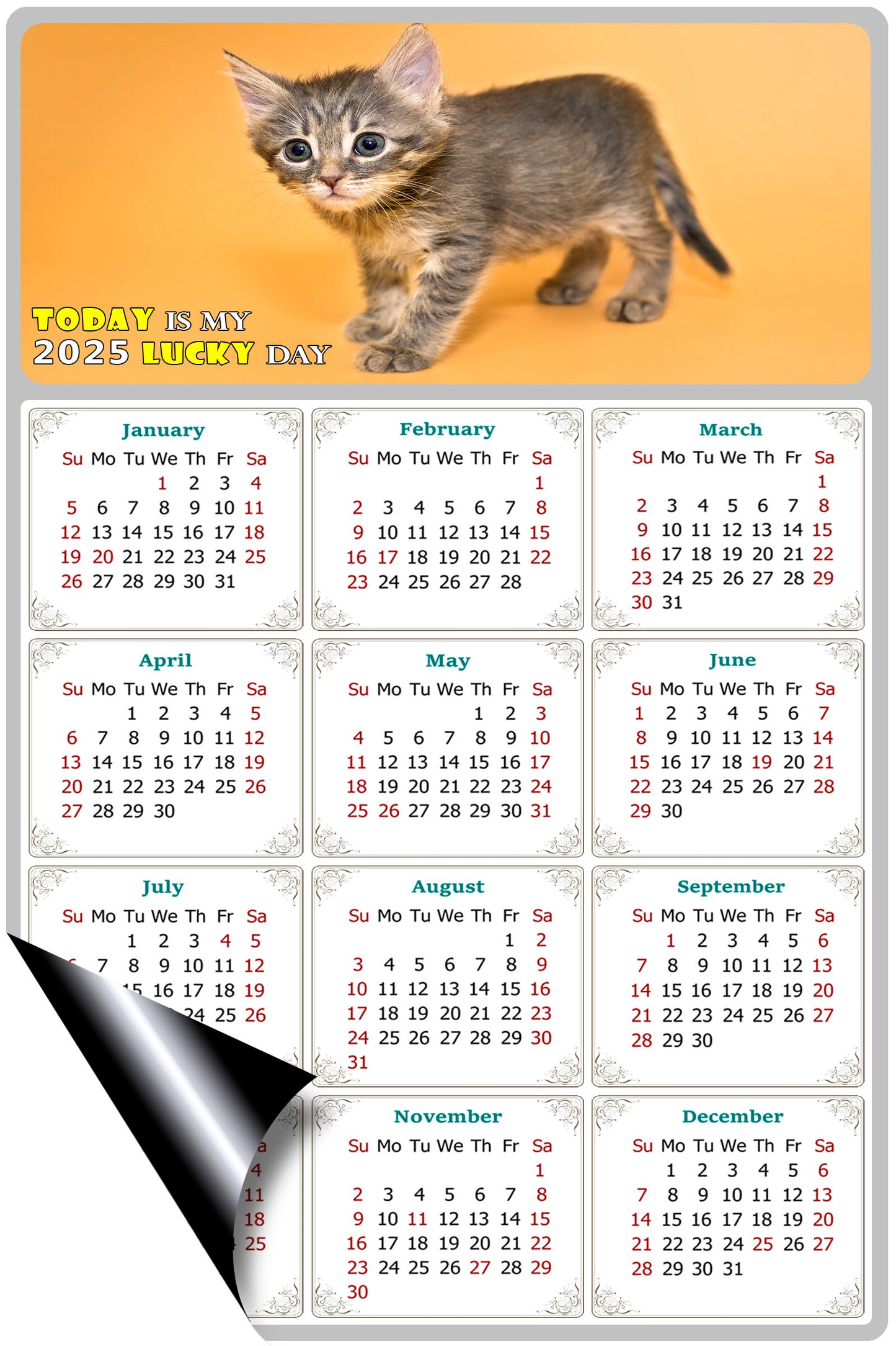 2025 Magnetic Calendar - Today is My Lucky Day (Fade, Tear, and Water Resistant)- Cat Themed 018