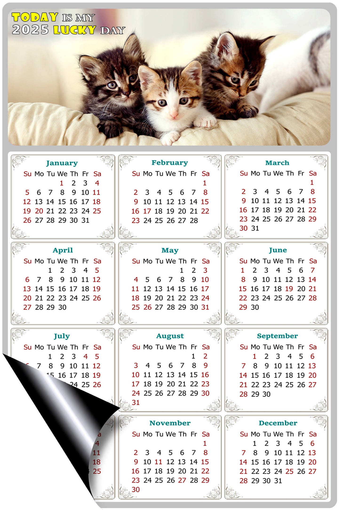 2025 Magnetic Calendar - Today is My Lucky Day (Fade, Tear, and Water Resistant)- Cat Themed 021