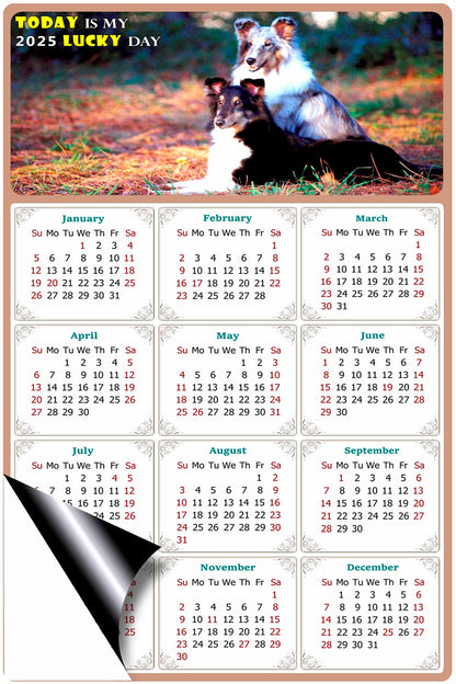 2025 Magnetic Calendar - Today is My Lucky Day (Fade, Tear, and Water Resistant)- Dogs Themed 09