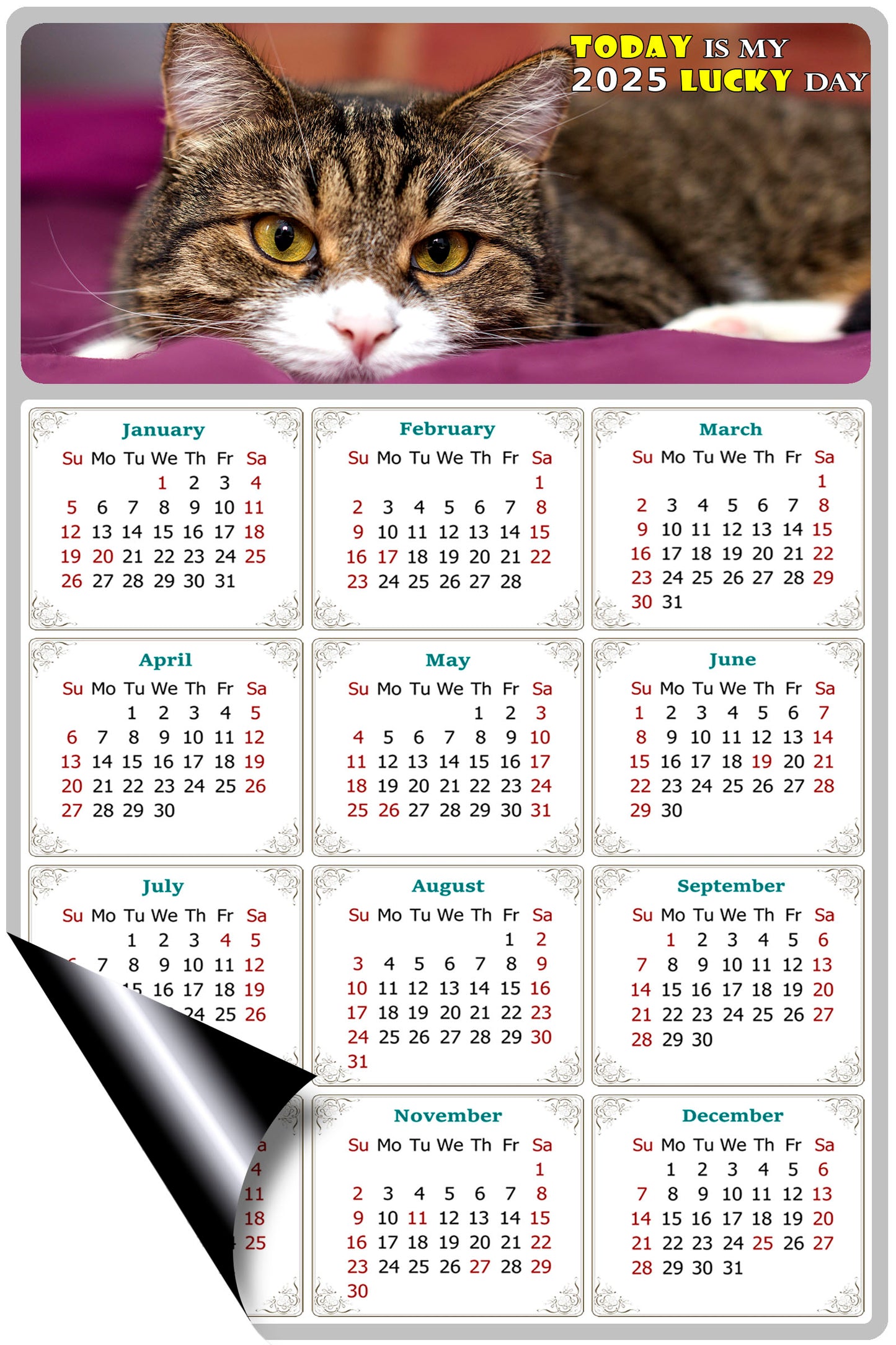 2025 Magnetic Calendar - Today is My Lucky Day (Fade, Tear, and Water Resistant)- Cat Themed 022