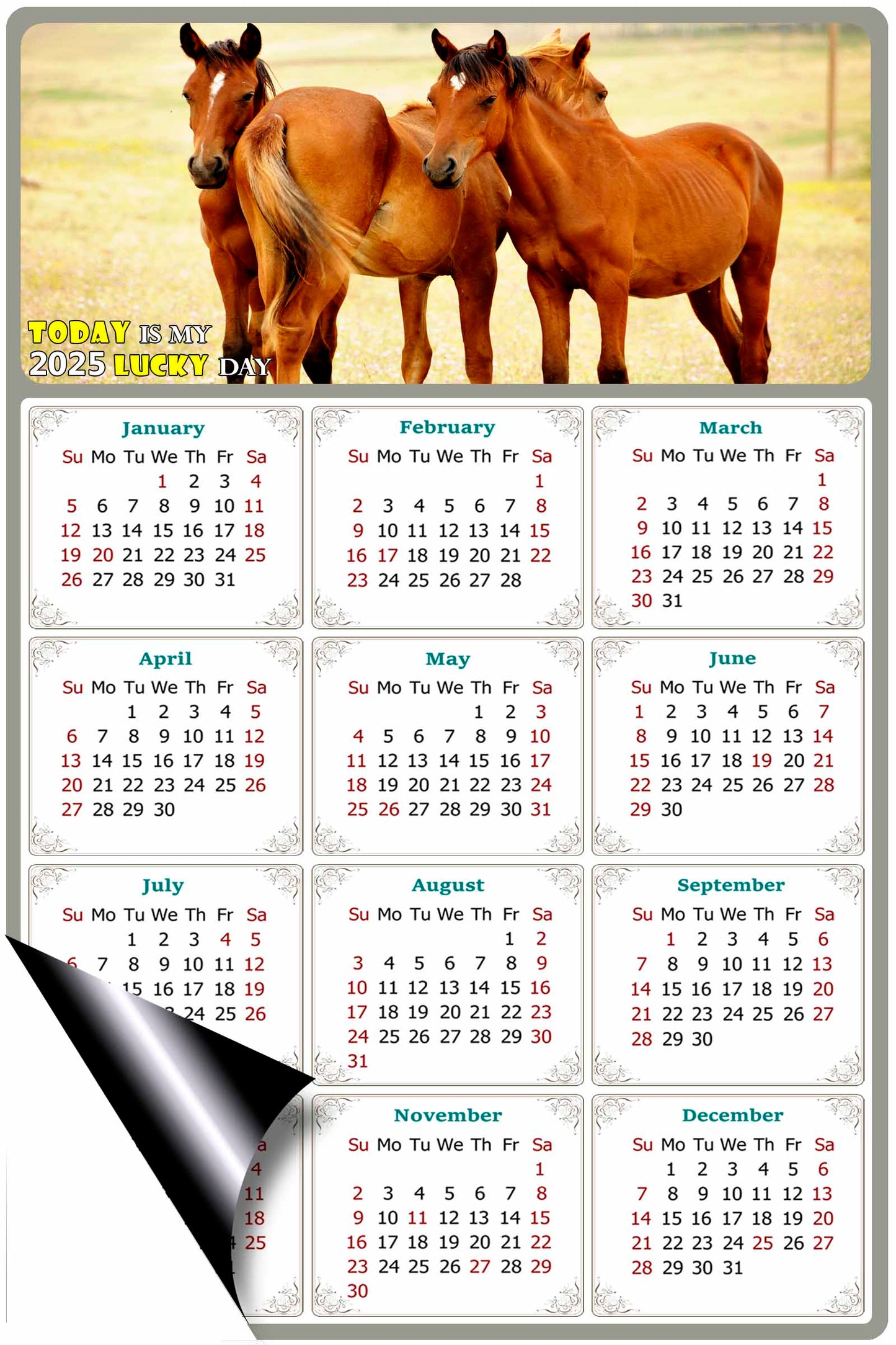 2025 Magnetic Calendar - Calendar Magnets - Today is my Lucky Day - (Fade, Tear, and Water Resistant) - Horses Themed 014