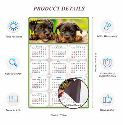 2025 Magnetic Calendar - Today is My Lucky Day (Fade, Tear, and Water Resistant)- Dogs Themed 04