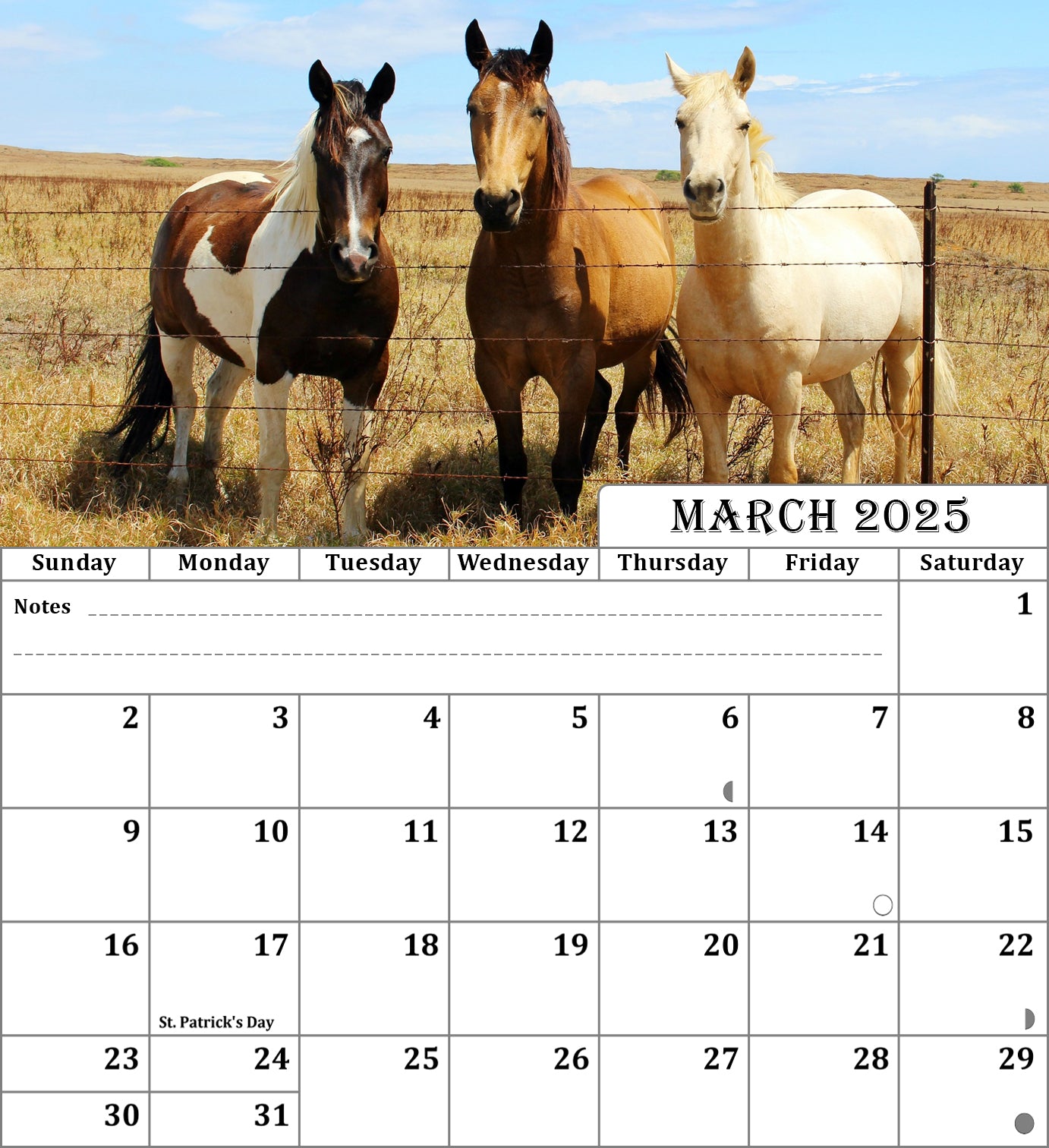 2025 CD-Style Desk Calendar 12 Months Calendar / Planner / Desk Calendar With CD Case Stand, Office Decor, Christmas Gifts (Horses)