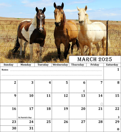 2025 CD-Style Desk Calendar 12 Months Calendar / Planner / Desk Calendar With CD Case Stand, Office Decor, Christmas Gifts (Horses)