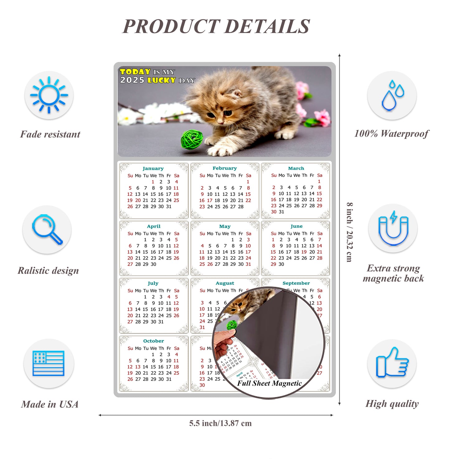 2025 Magnetic Calendar - Today is My Lucky Day (Fade, Tear, and Water Resistant)- Cat Themed 017