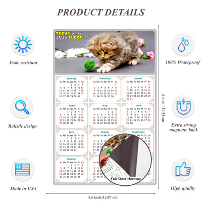 2025 Magnetic Calendar - Today is My Lucky Day (Fade, Tear, and Water Resistant)- Cat Themed 017