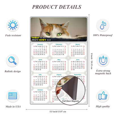 2025 Magnetic Calendar - Today is My Lucky Day (Fade, Tear, and Water Resistant)- Cat Themed 012