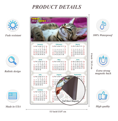 2025 Magnetic Calendar - Today is My Lucky Day (Fade, Tear, and Water Resistant)- Cat Themed 08