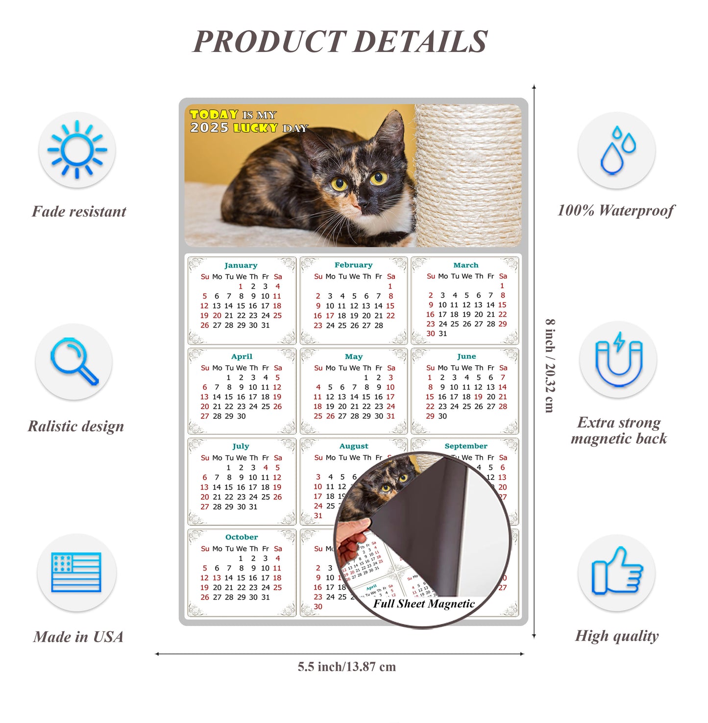 2025 Magnetic Calendar - Today is My Lucky Day (Fade, Tear, and Water Resistant)- Cat Themed 024