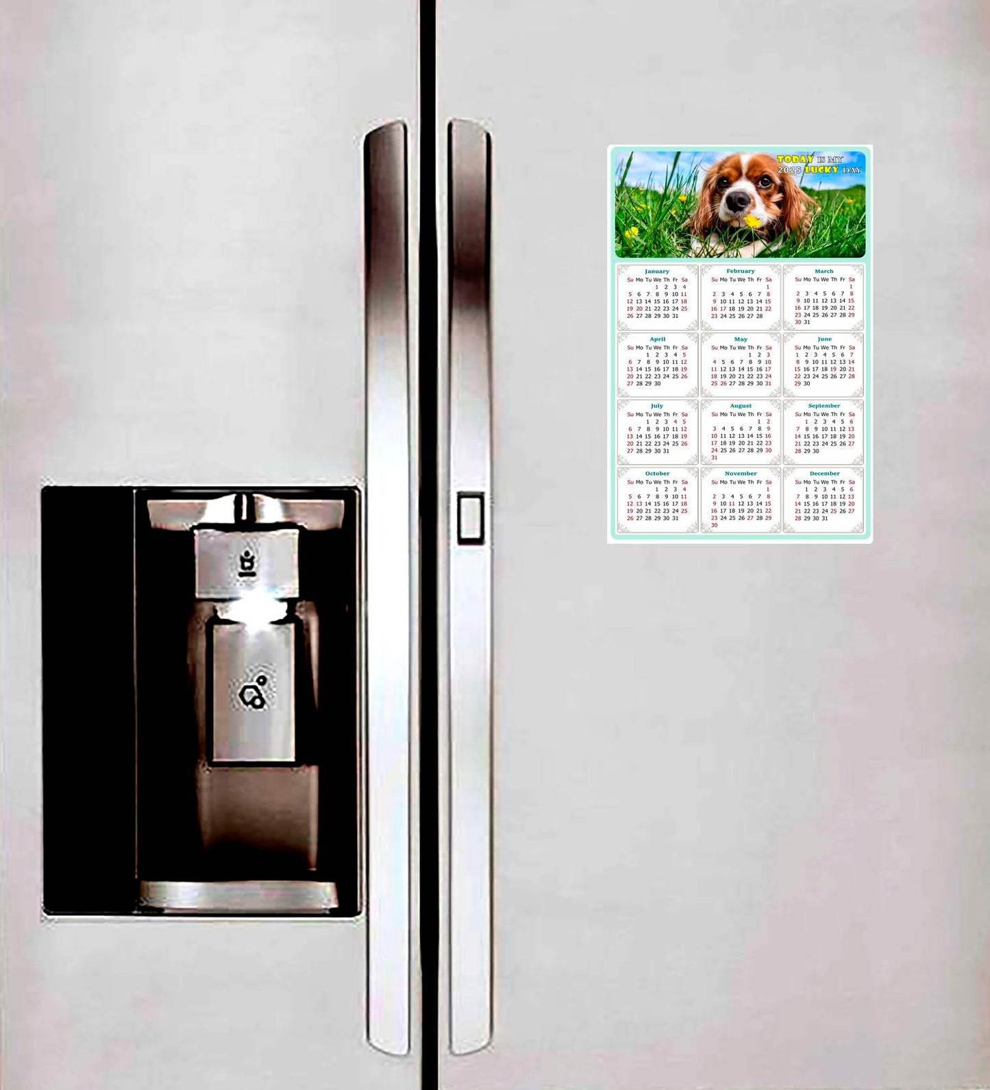 2025 Peel & Stick Calendar - Today is my Lucky Day Removable - Dogs 06 (12"x 8")