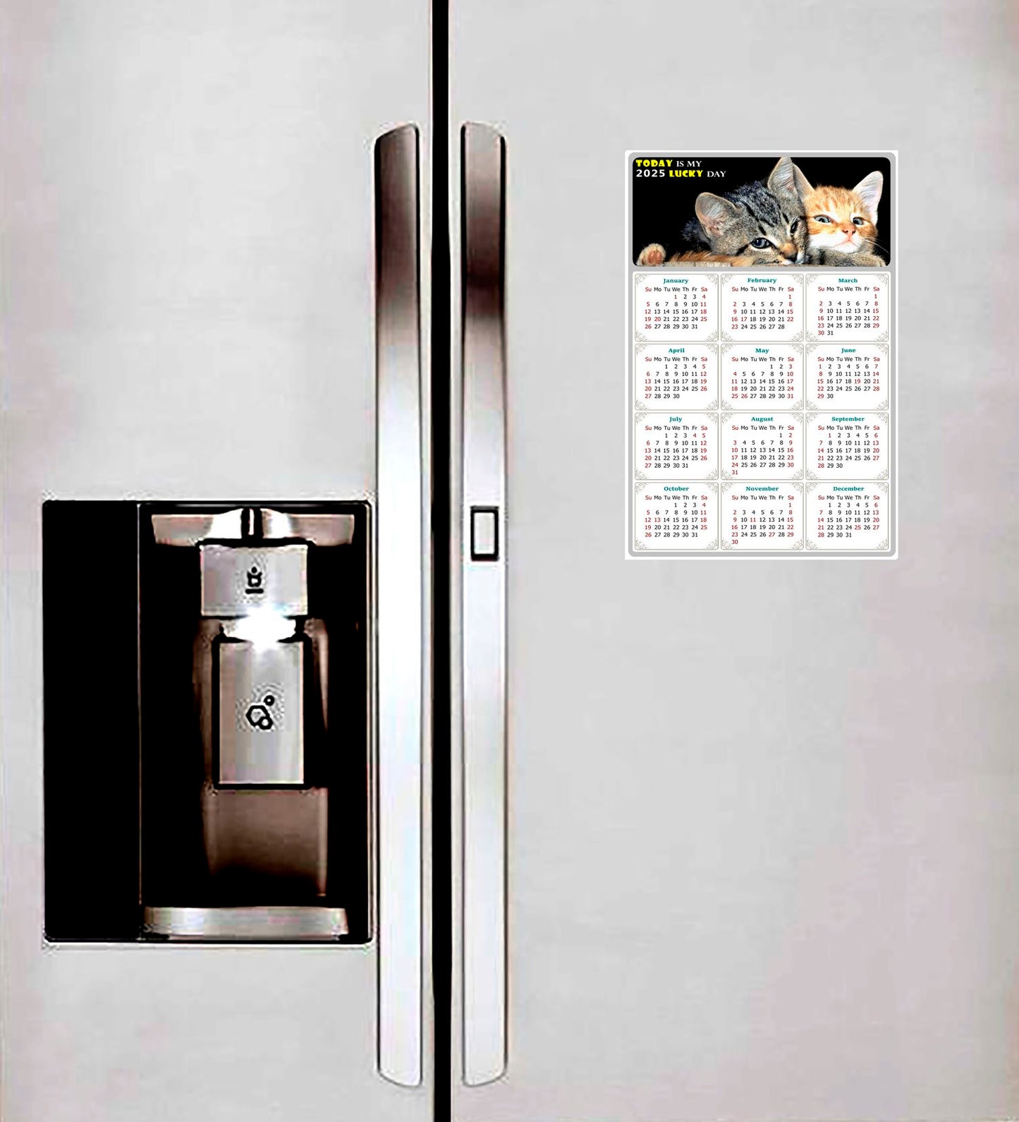 2025 Magnetic Calendar - Today is My Lucky Day (Fade, Tear, and Water Resistant)- Cat Themed 010