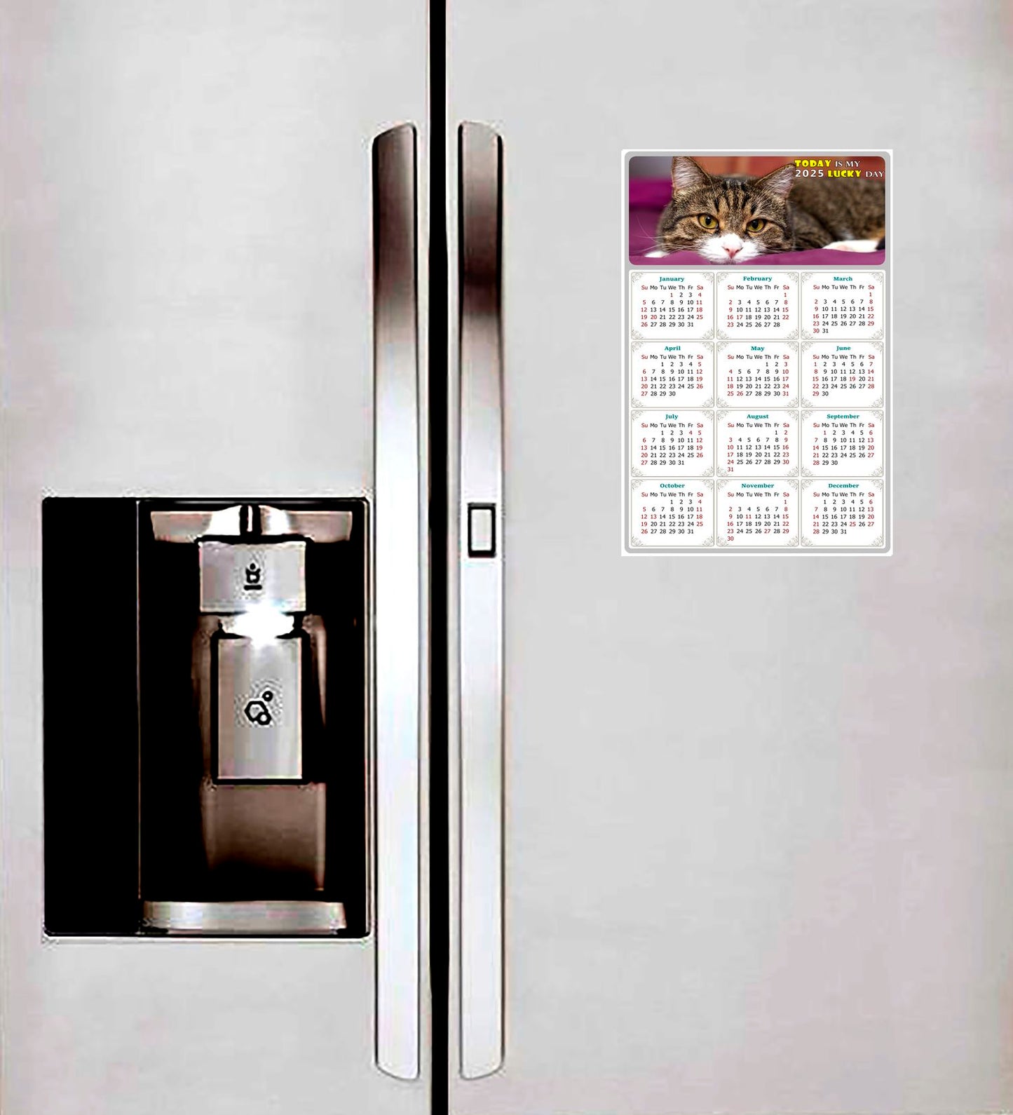 2025 Peel & Stick Calendar - Today is my Lucky Day Removable - Cat 022 (9"x 6")