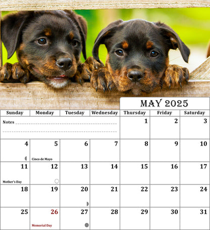 2025 CD-Style Desk Calendar 12 Months Calendar / Planner / Desk Calendar With CD Case Stand, Office Decor, Christmas Gifts (Dogs)