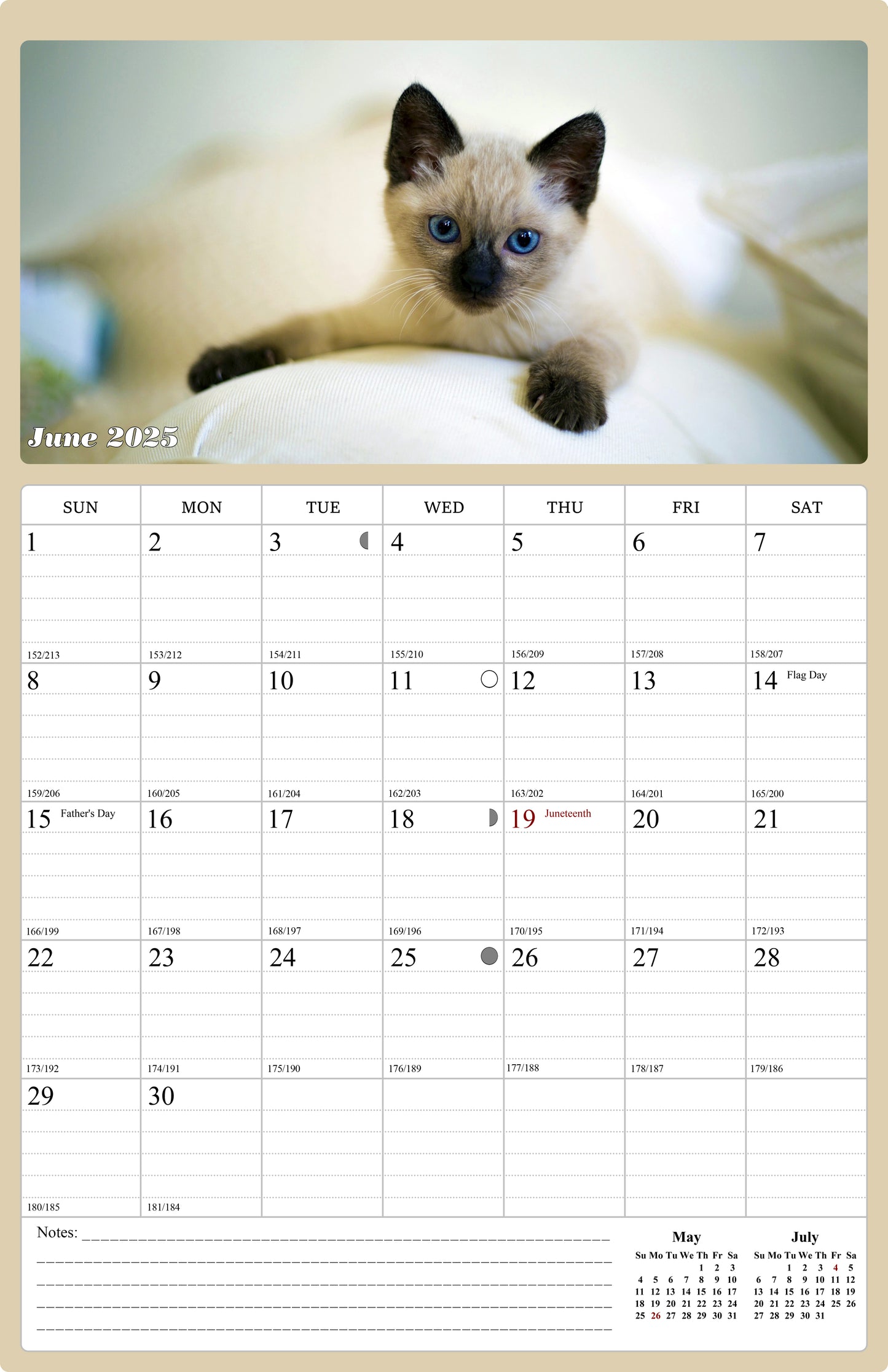 2025 Wall Calendar Spiral-bound Twin-Wire Binding - 12 Months Planner - Large Ruled Blocks with Julian Dates - (Cats)