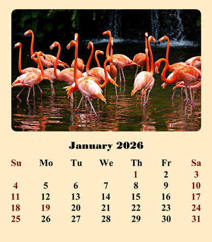 2025-2026 CD-Style Desk Calendar 18 Months Calendar (Birds)