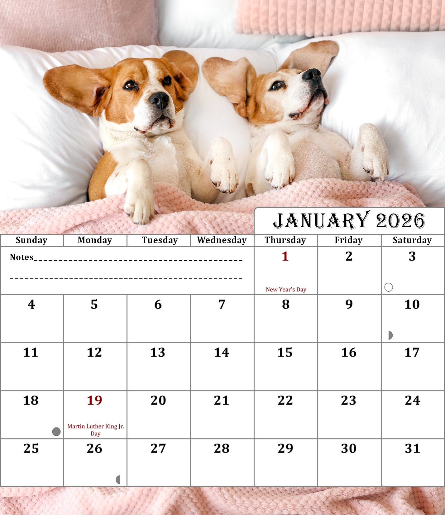 2025-2026 CD-Style Desk Calendar 18 Months Calendar (Dogs)