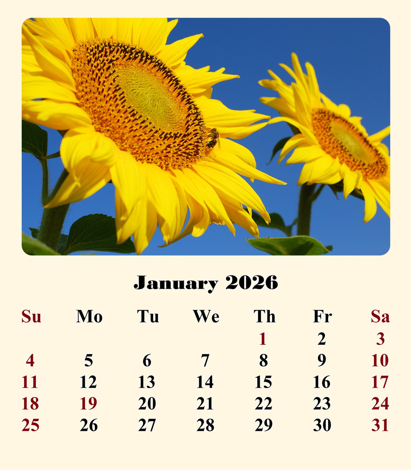 2025-2026 CD-Style Desk Calendar 18 Months Calendar (Sunflowers)